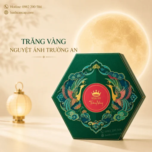 Nguyệt ánh trường an
